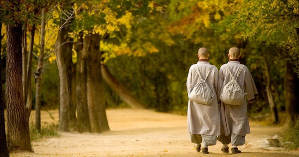 Người đàn ông đi tìm cao tăng để hỏi cách làm giàu nhanh chóng, câu trả lời khiến ai cũng giật mình: Kiên nhẫn là âm thanh của tài phú