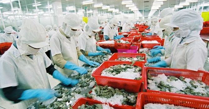 55,8% doanh nghiệp Việt mù mờ thông tin về thị trường thế giới