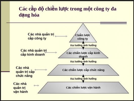 Các cấp độ chiến lược trong công ty