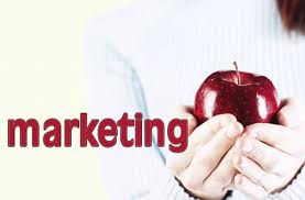 Marketing tiêu dùng, chính trị